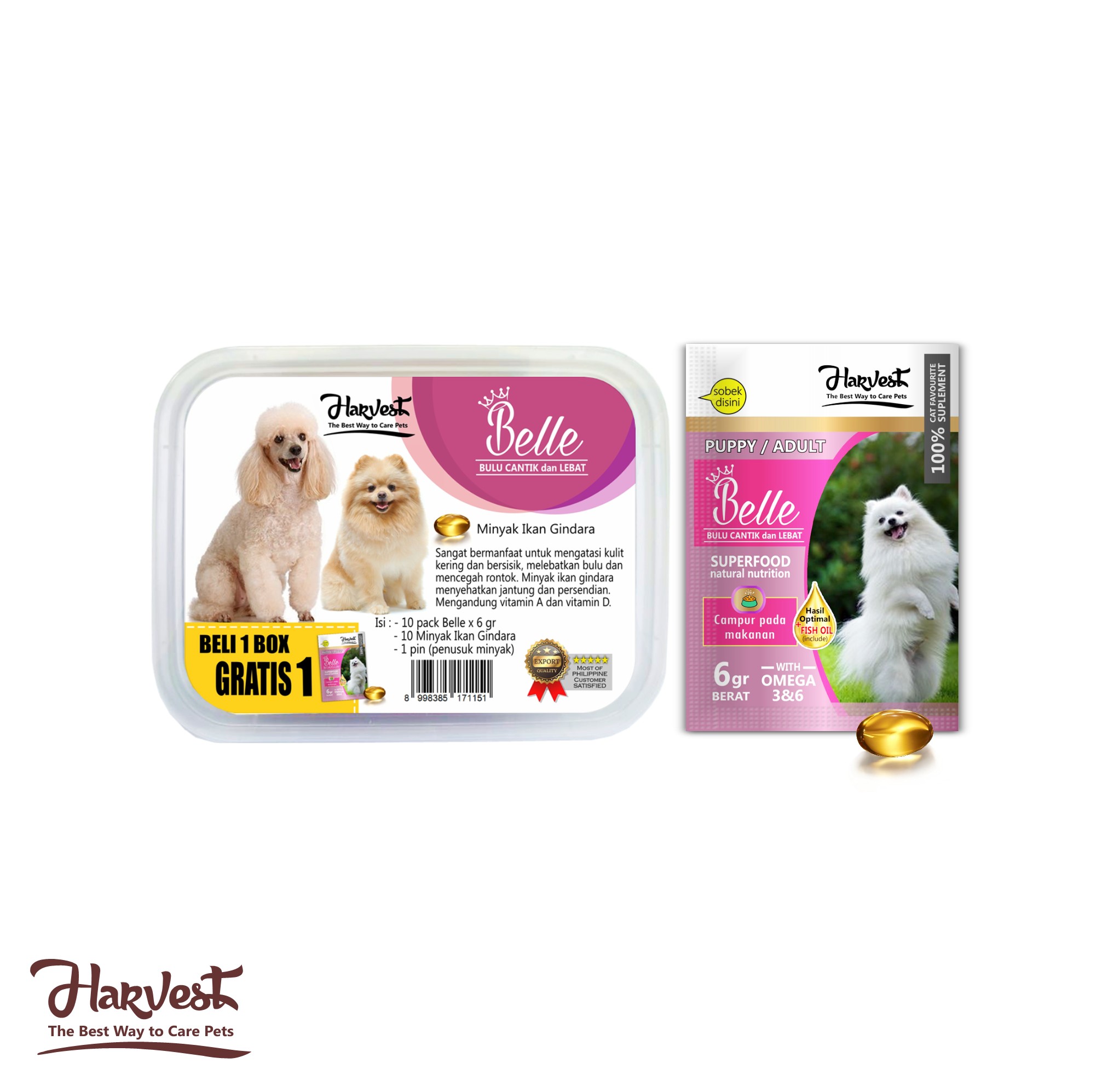 Harvest Belle Dog