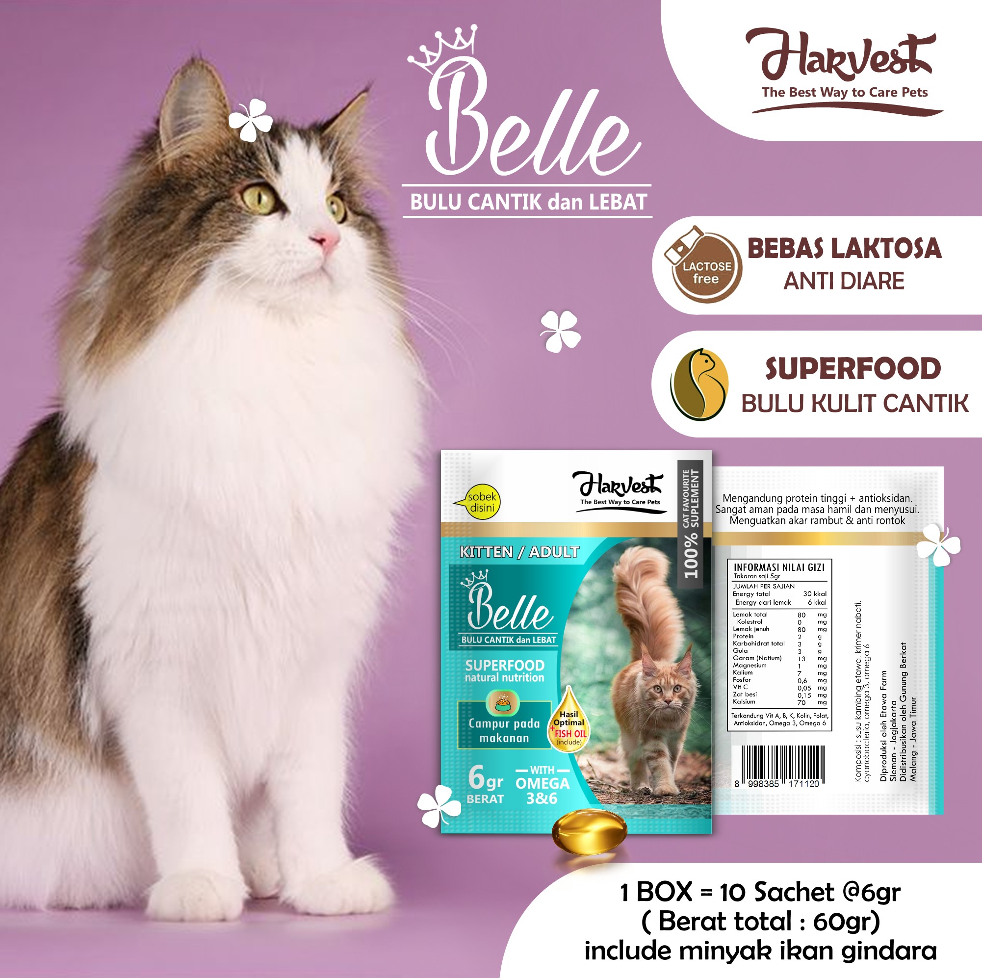 Harvest Retail Pack Belle Cat